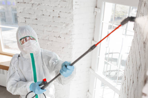 West Jordan, UT Mold Removal Company