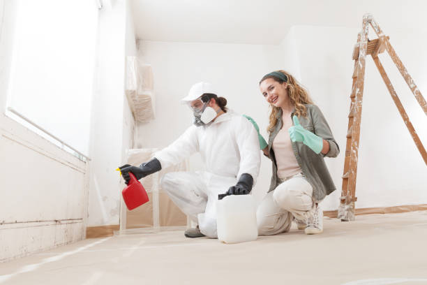 Best Biohazard Mold Removal  in West Jordan, UT